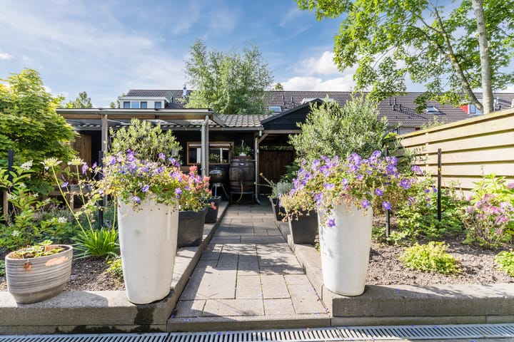 Foto 47 van Schoener 42