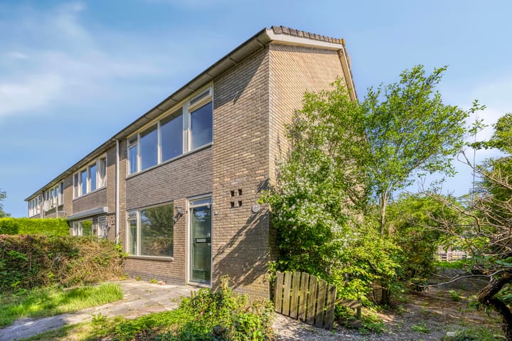 Foto 30 van Fogelsanghstraat 21