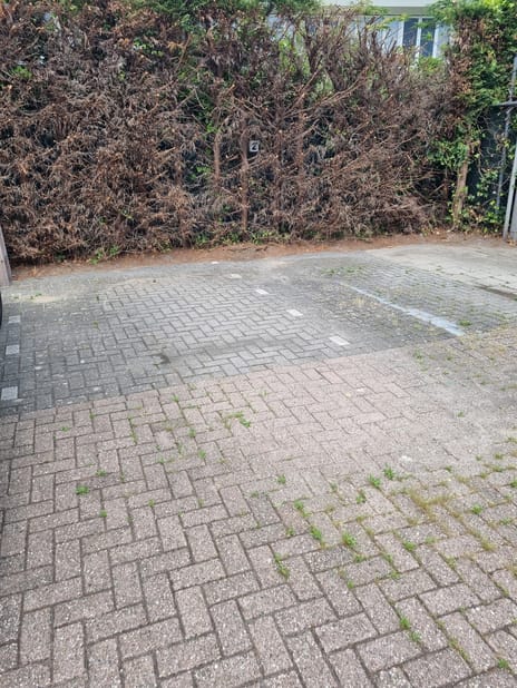 undefined main image