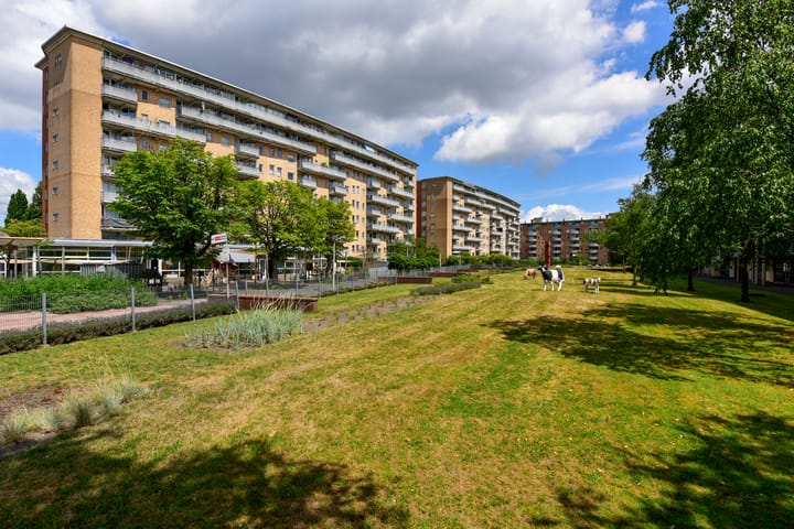 Foto 2 van Belgiëplein 100