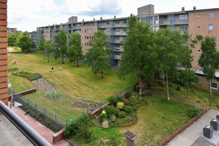 Foto 16 van Belgiëplein 100