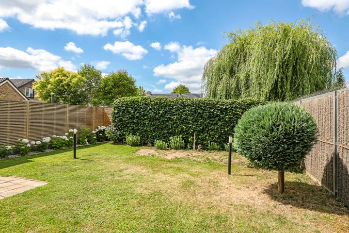 Foto 50 van Hessenbergstraat 7