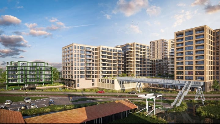 Foto 24 van Mahoniehout 430