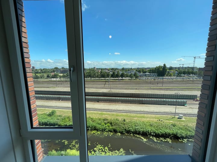 Foto 16 van Mahoniehout 430