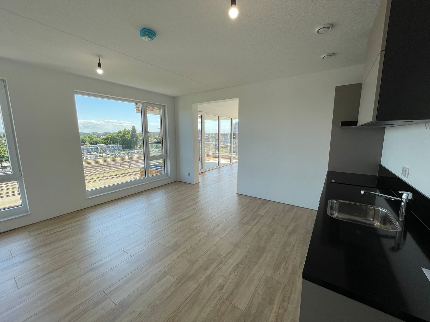 Foto 4 van Mahoniehout 430