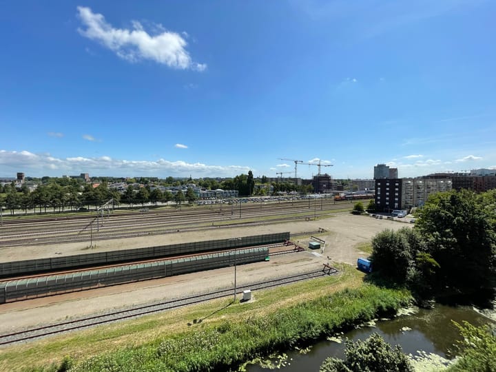 Foto 13 van Mahoniehout 430