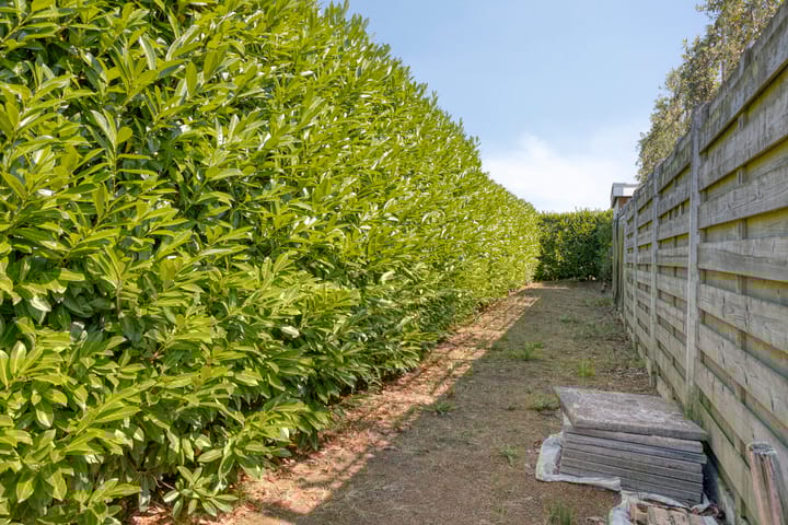 Foto 43 van Anna van Bourgondiëstraat 34