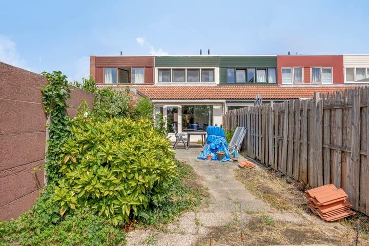 Foto 2 van de Els 4