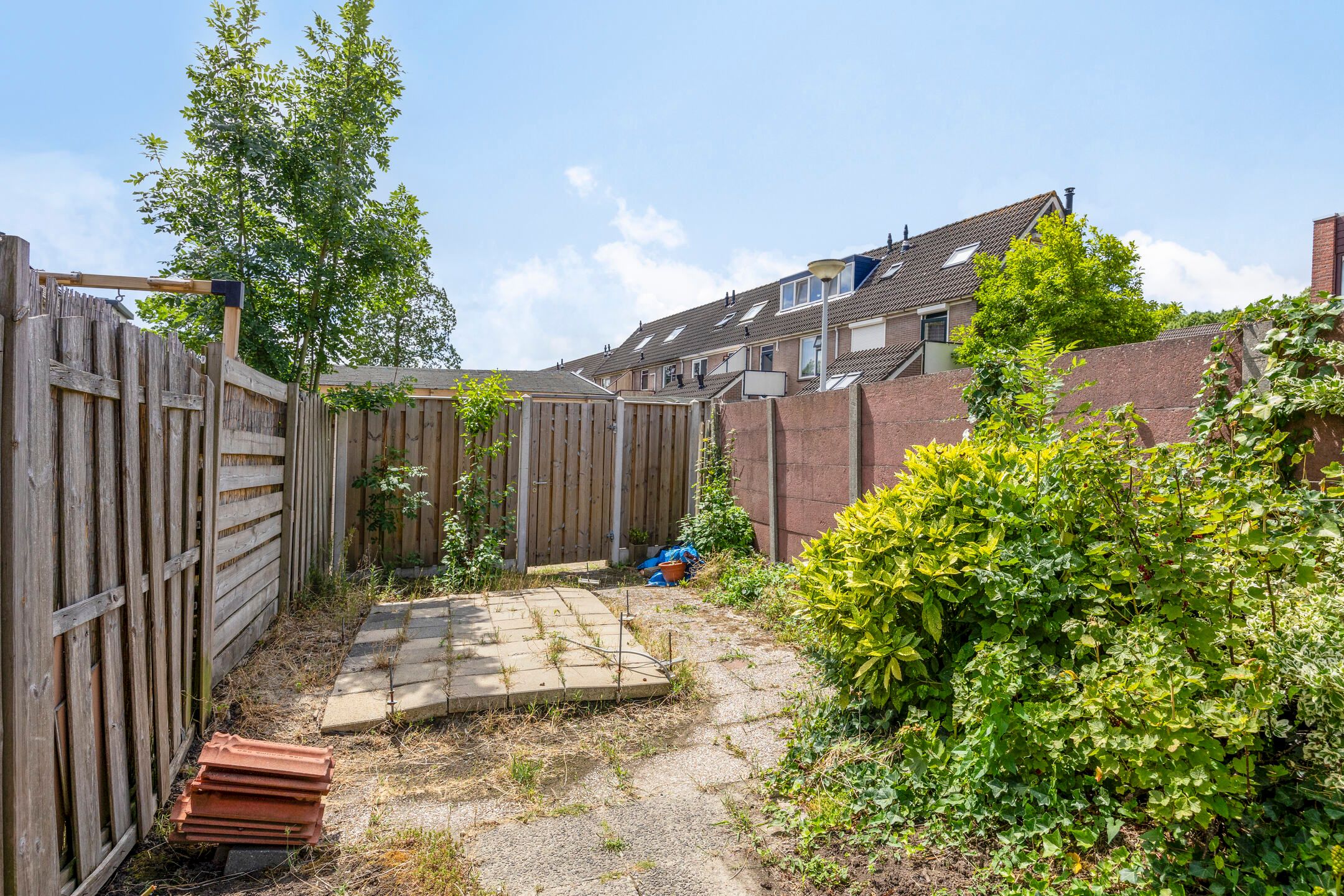 Foto 30 van de Els 4