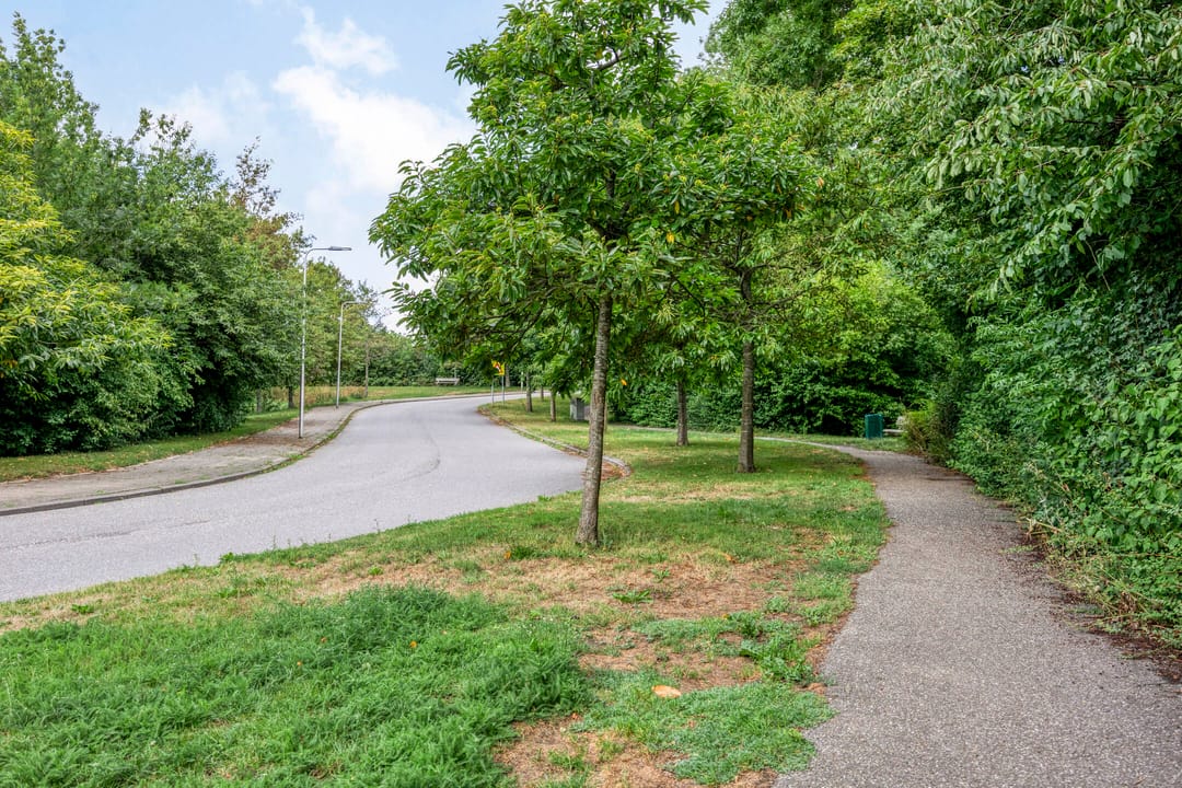 Foto 31 van de Els 4