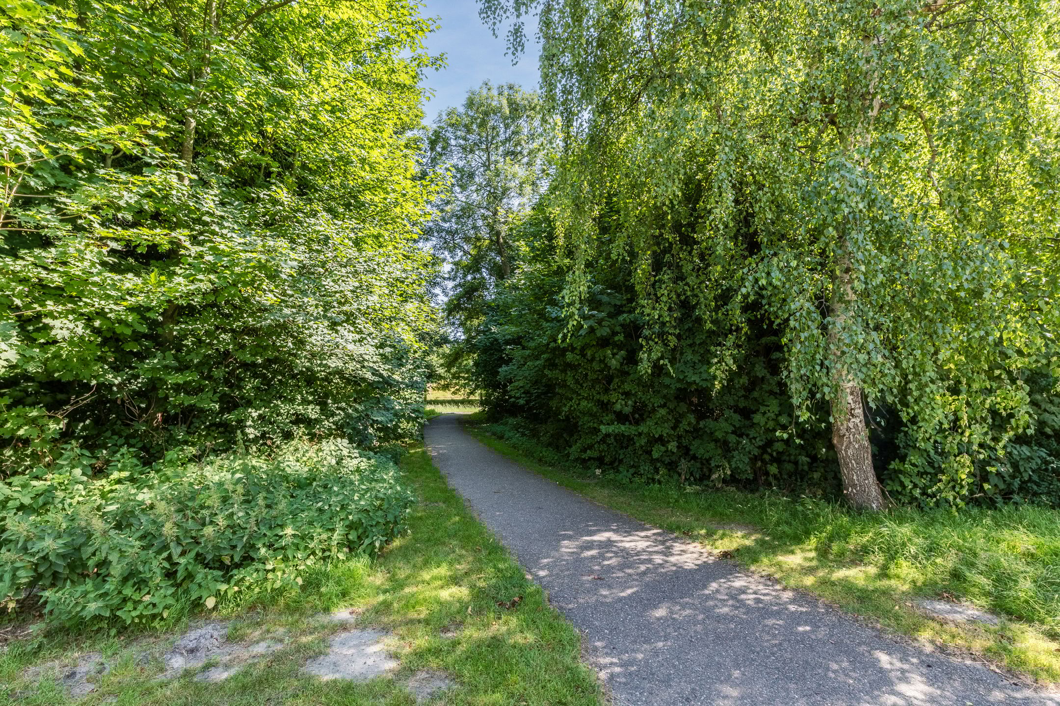 Foto 33 van Onegastraat 16