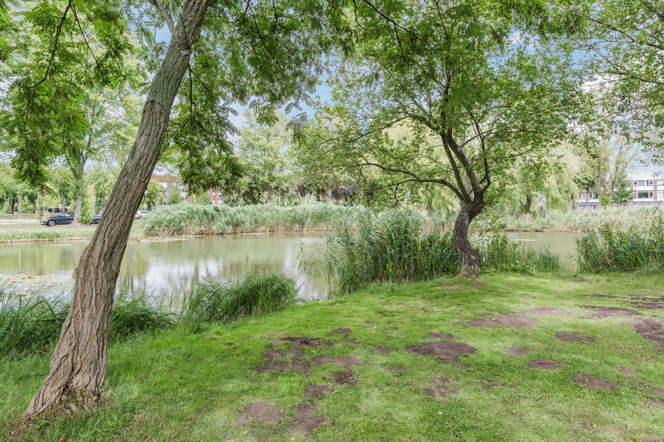 Photo 21 of Hertogenlaan 382
