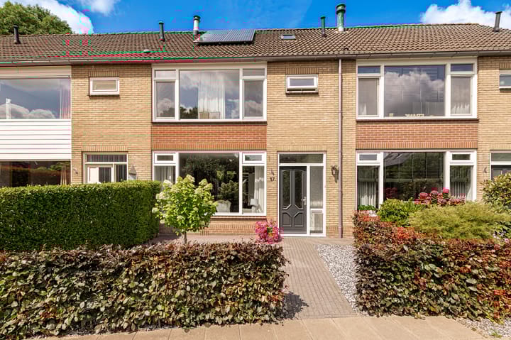 Foto 1 van Dr. van der Willigenstraat 17