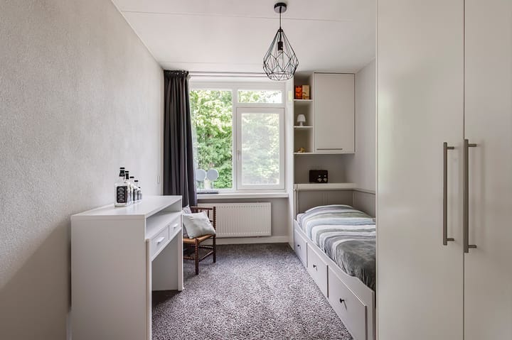 Foto 21 van Dr. van der Willigenstraat 17