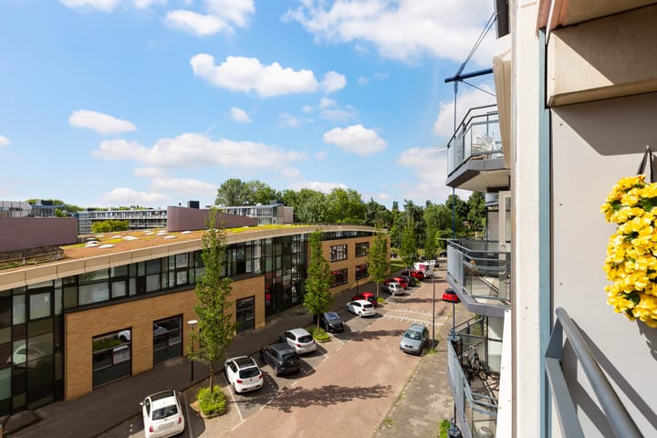 Photo 29 of Vincent van Goghlaan 137