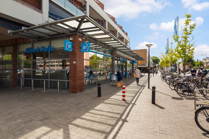 Photo 32 of Vincent van Goghlaan 137