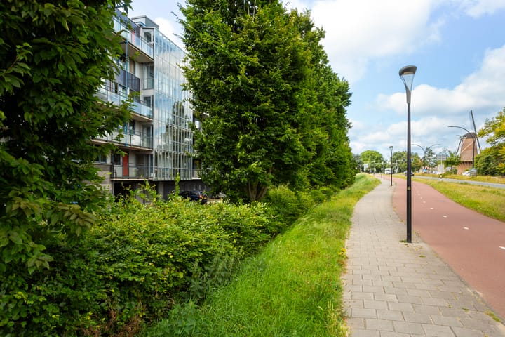 Photo 33 of Vincent van Goghlaan 137