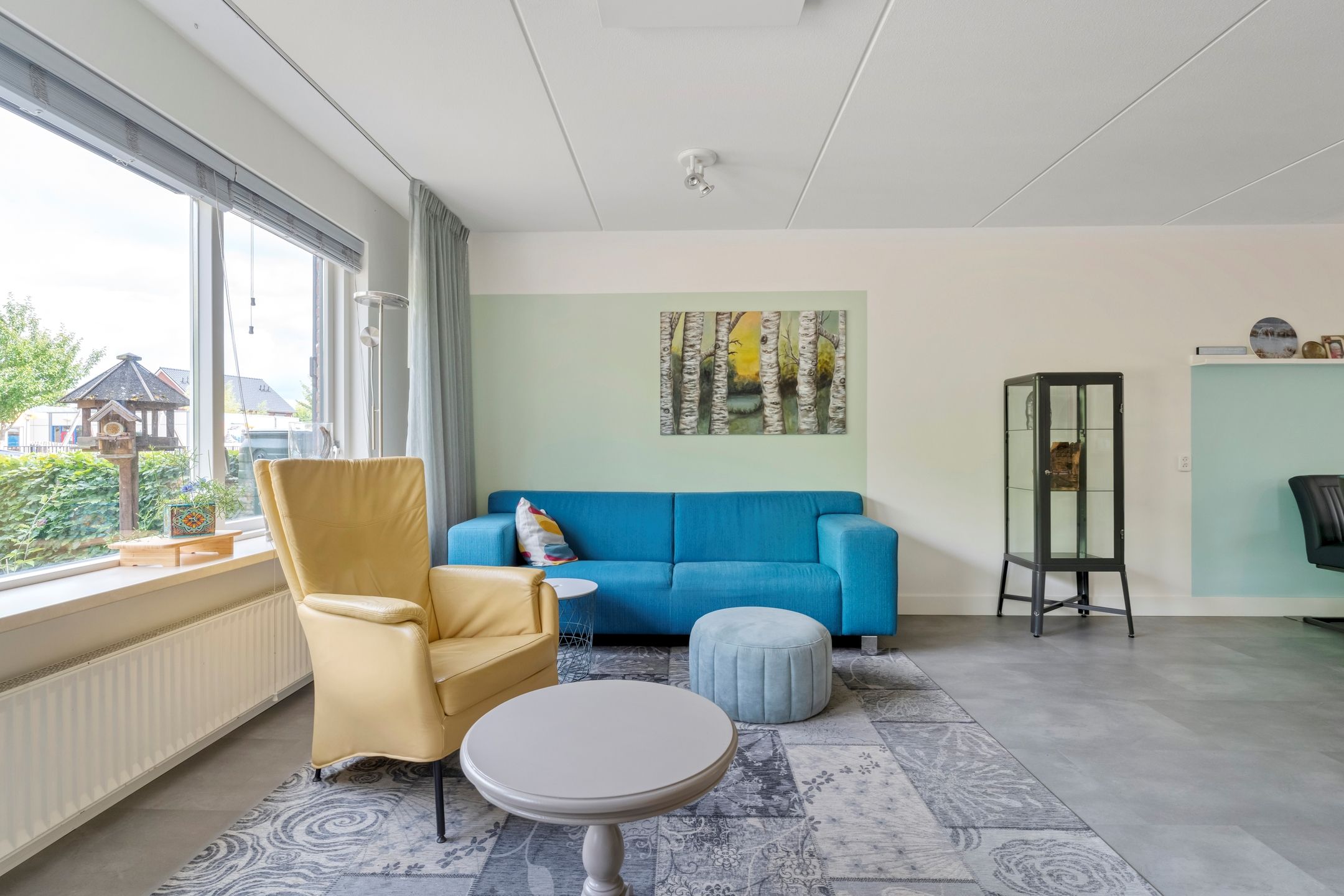 Photo 6 of Fonteinkruid 19-A