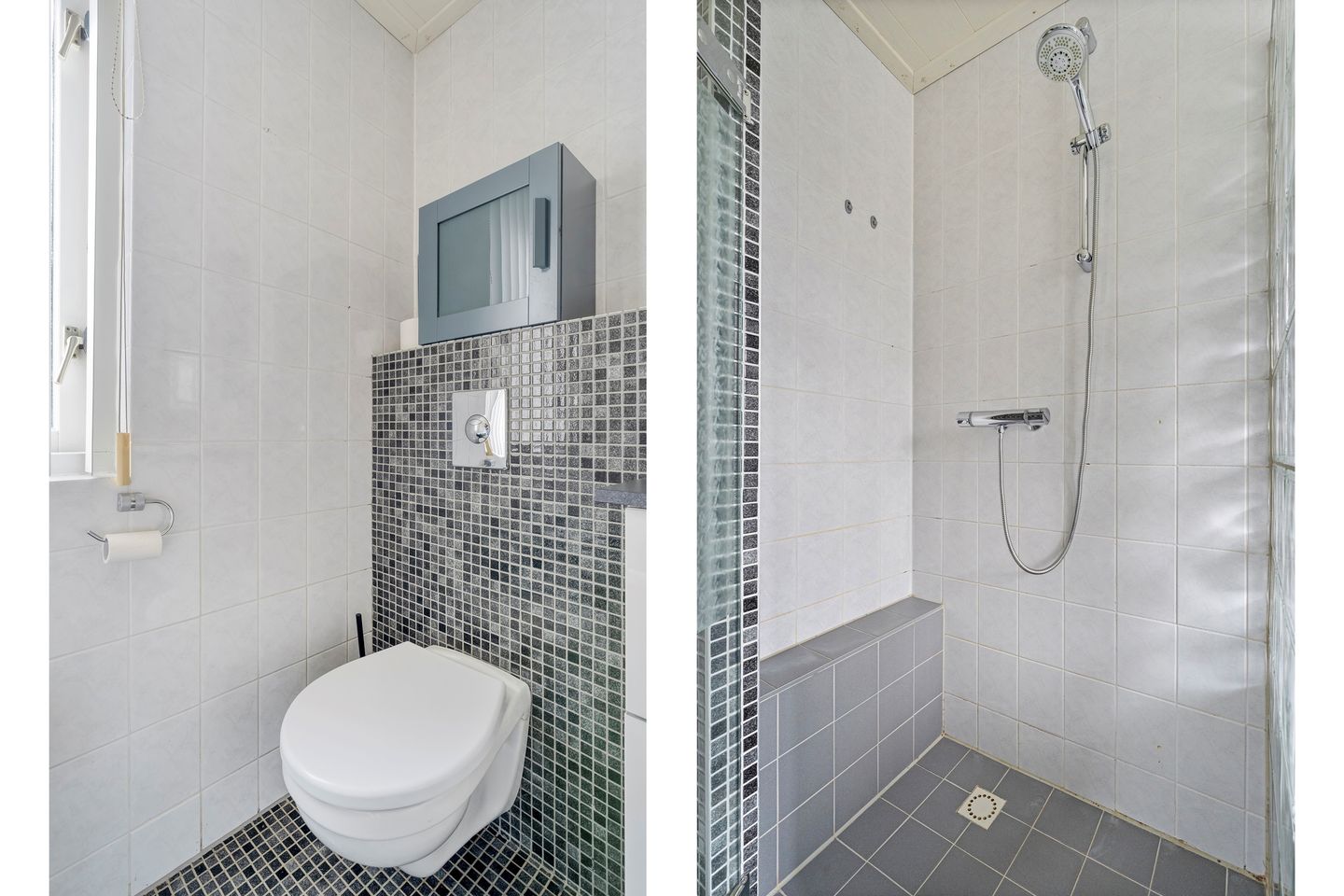 Photo 34 of Fonteinkruid 19-A