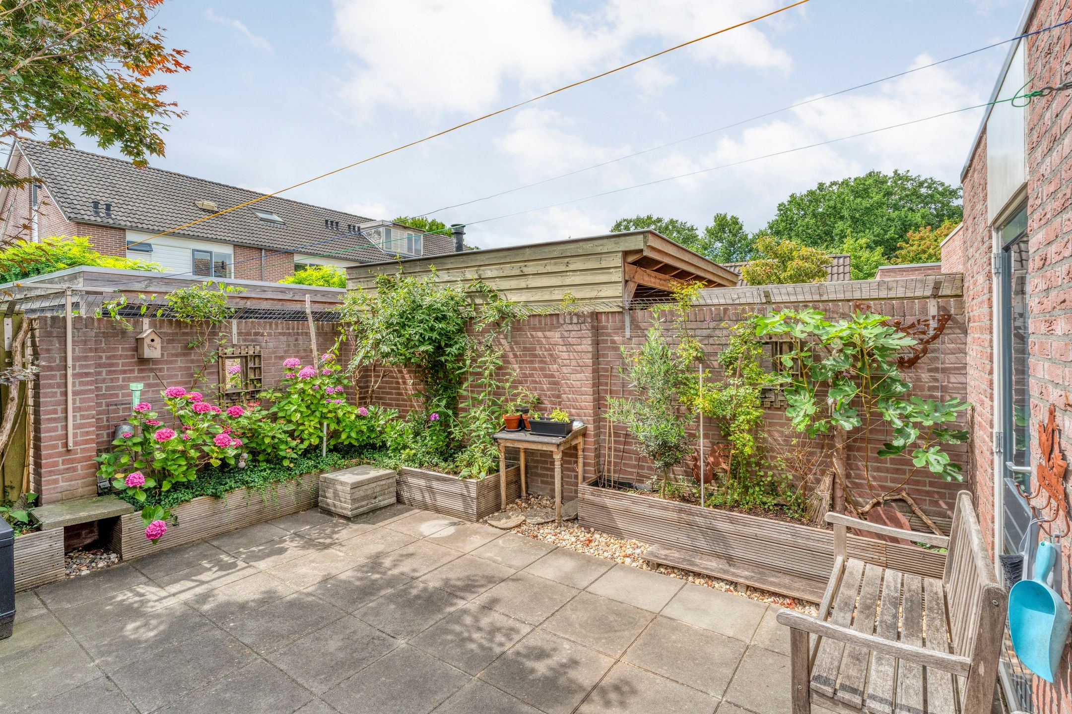 Photo 45 of Fonteinkruid 19-A