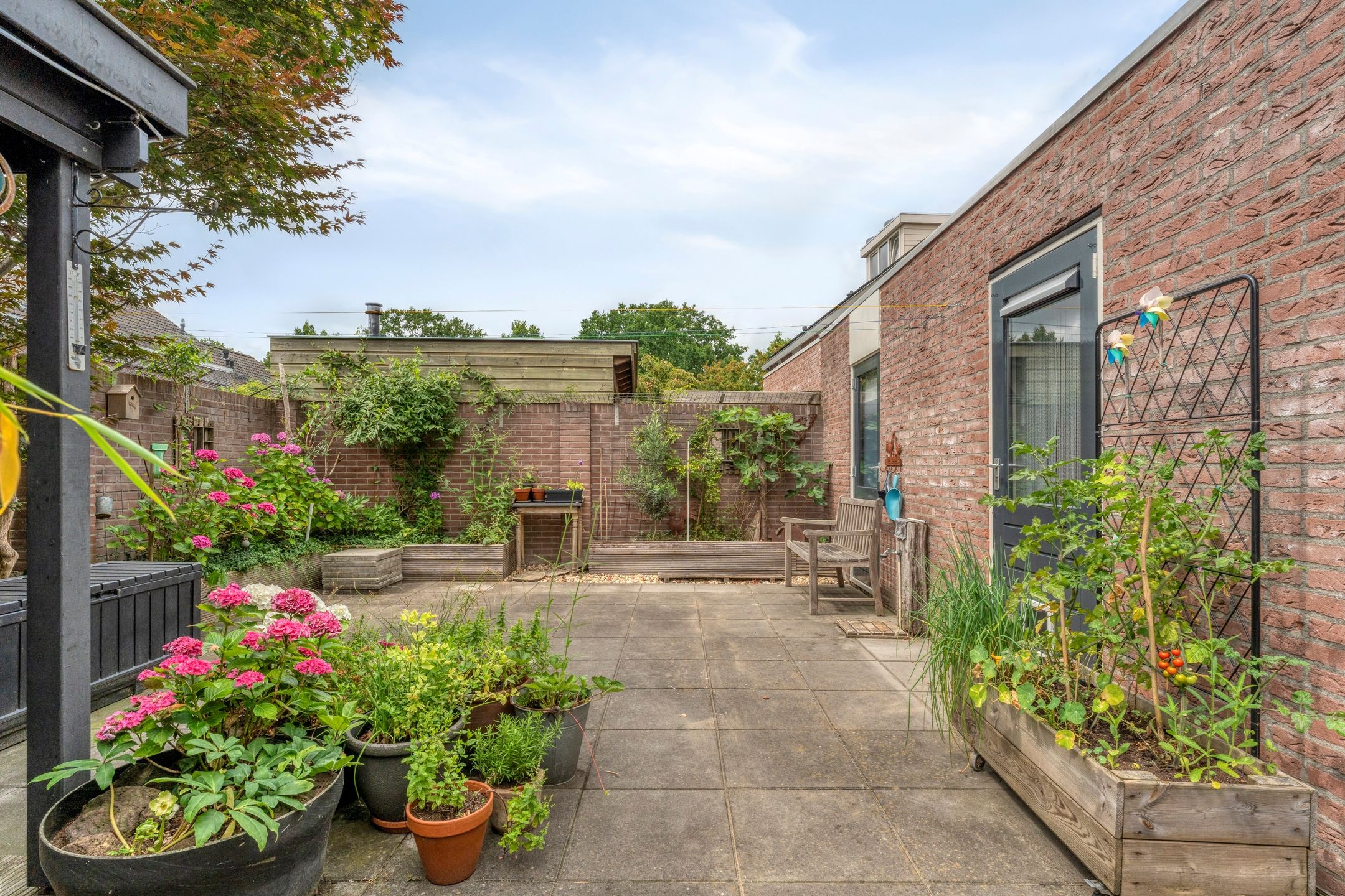 Photo 48 of Fonteinkruid 19-A