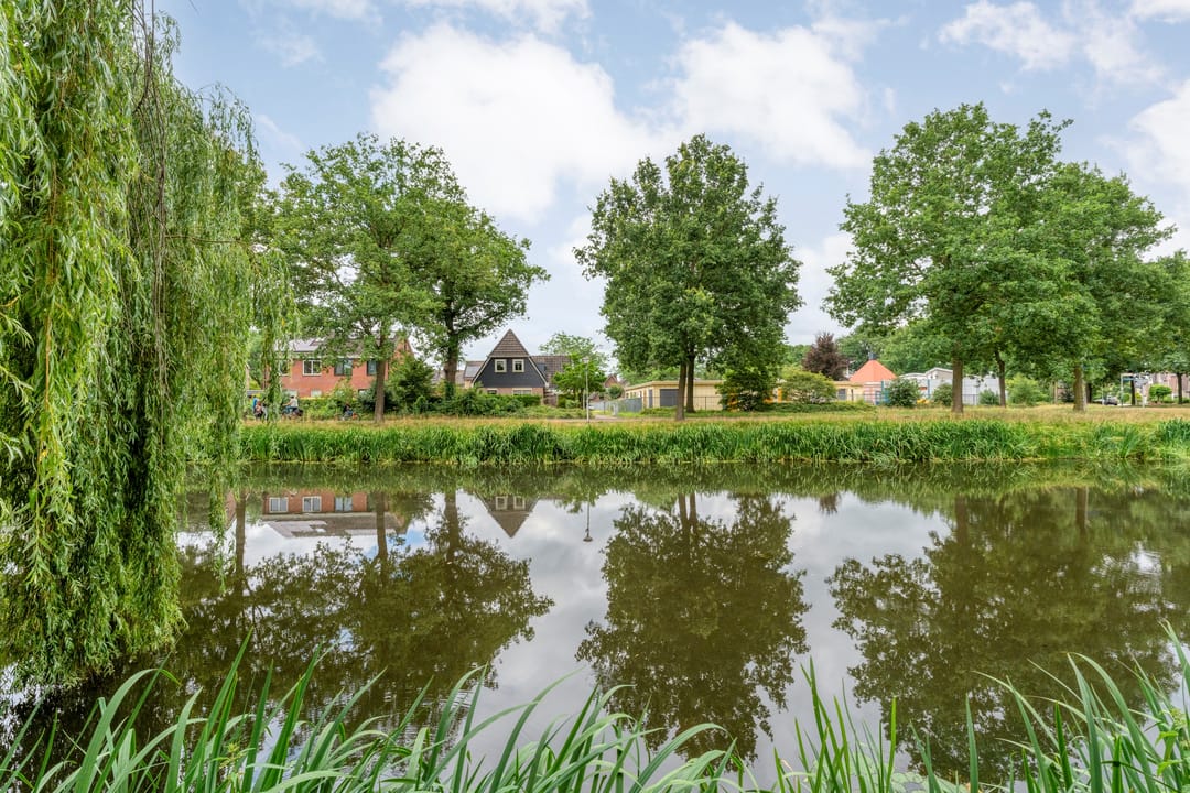 Photo 62 of Fonteinkruid 19-A