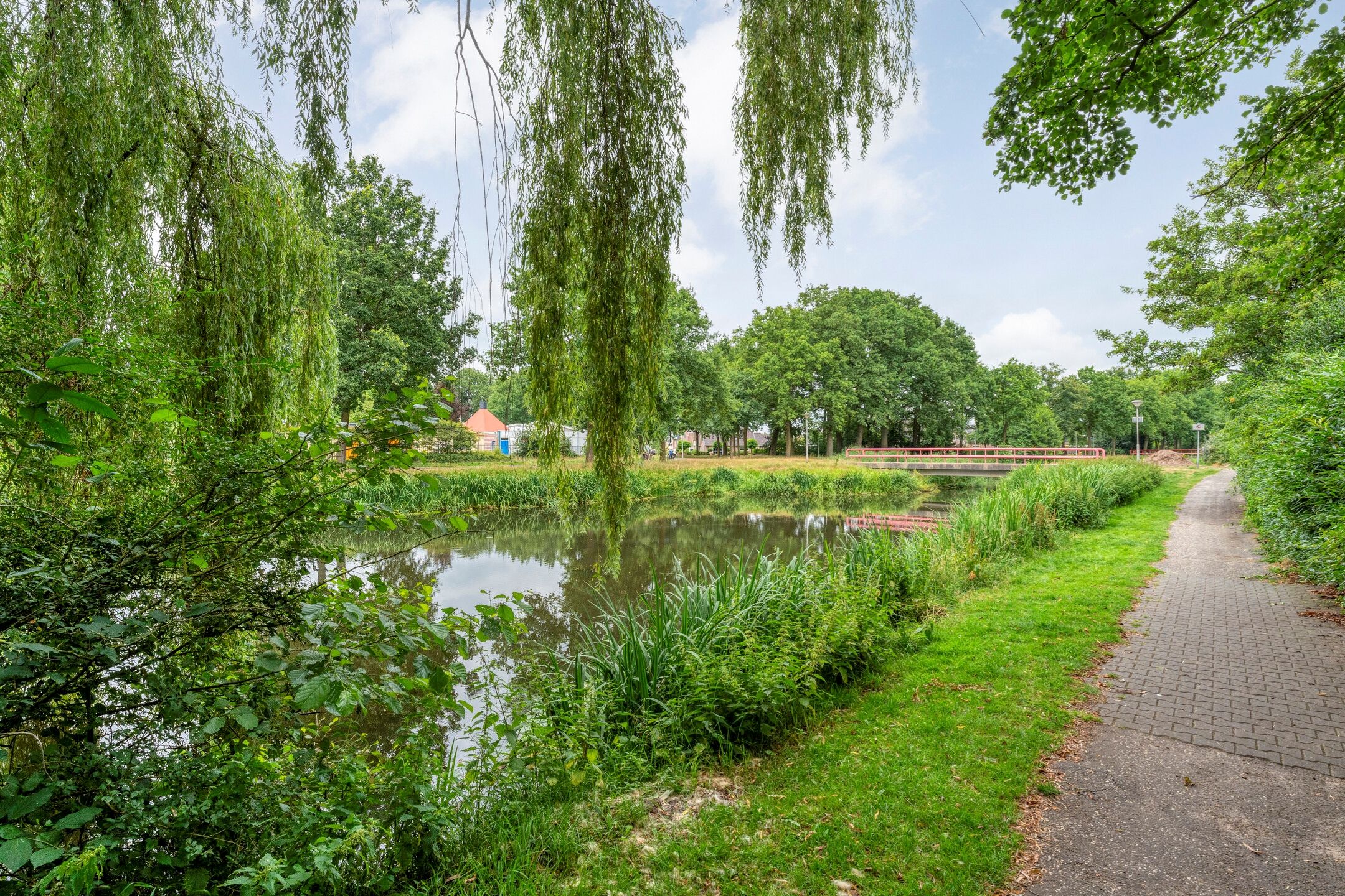 Photo 63 of Fonteinkruid 19-A