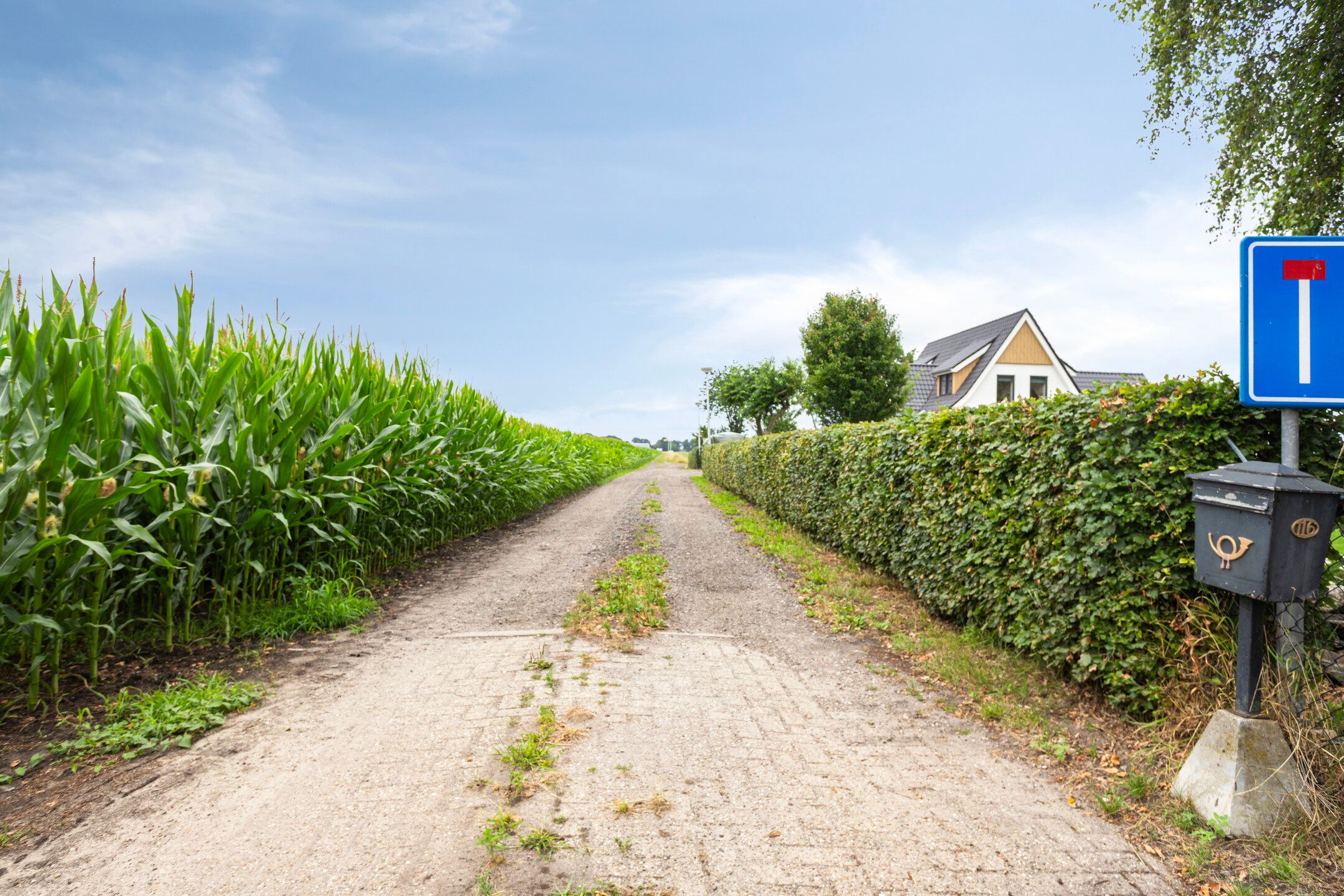 Photo 9 of Kloosterdijk 116