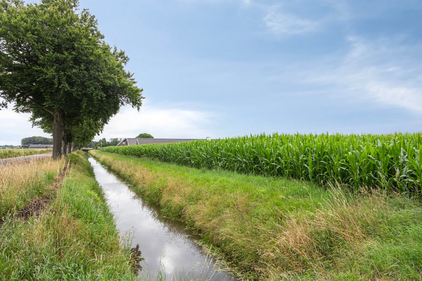 Photo 85 of Kloosterdijk 116