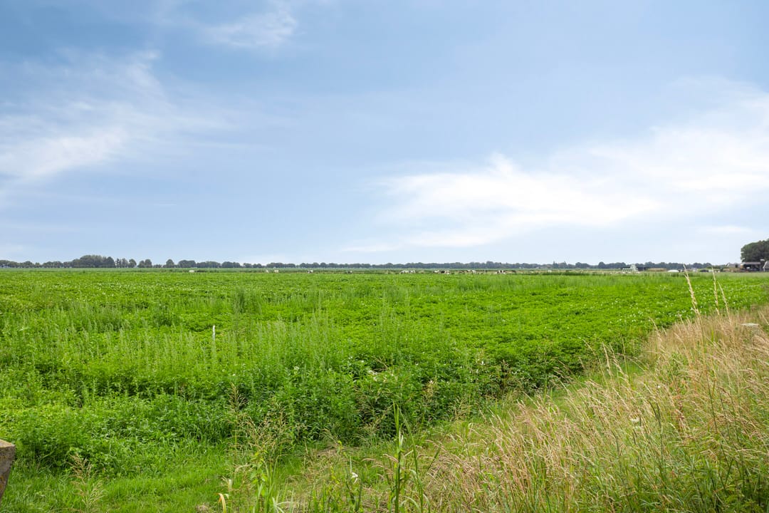 Photo 86 of Kloosterdijk 116