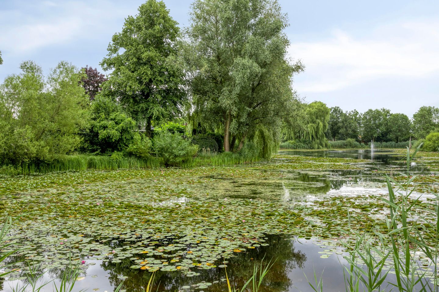 Foto 25 van H.J. Meijersstraat 40