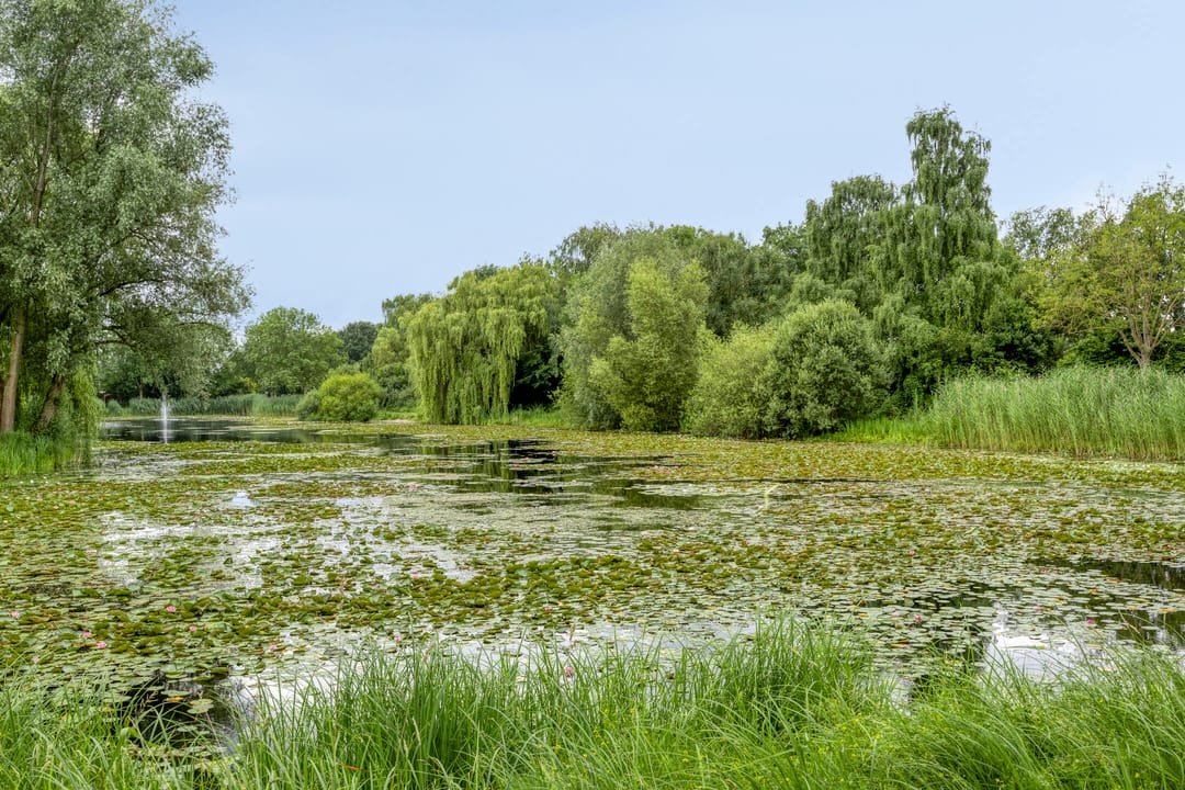 Foto 26 van H.J. Meijersstraat 40