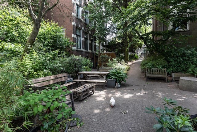 Foto 22 van Rapenburg 74