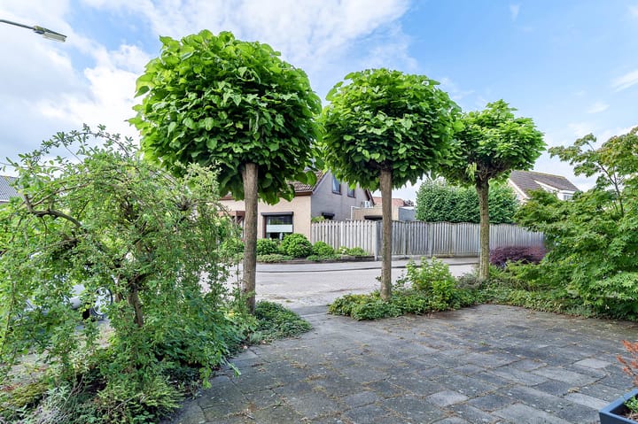 Foto 2 van De Wever 14