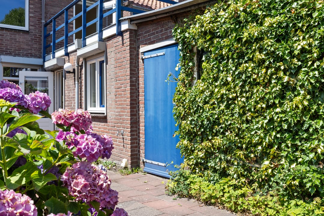 Foto 31 van Mr. Luybenstraat 27