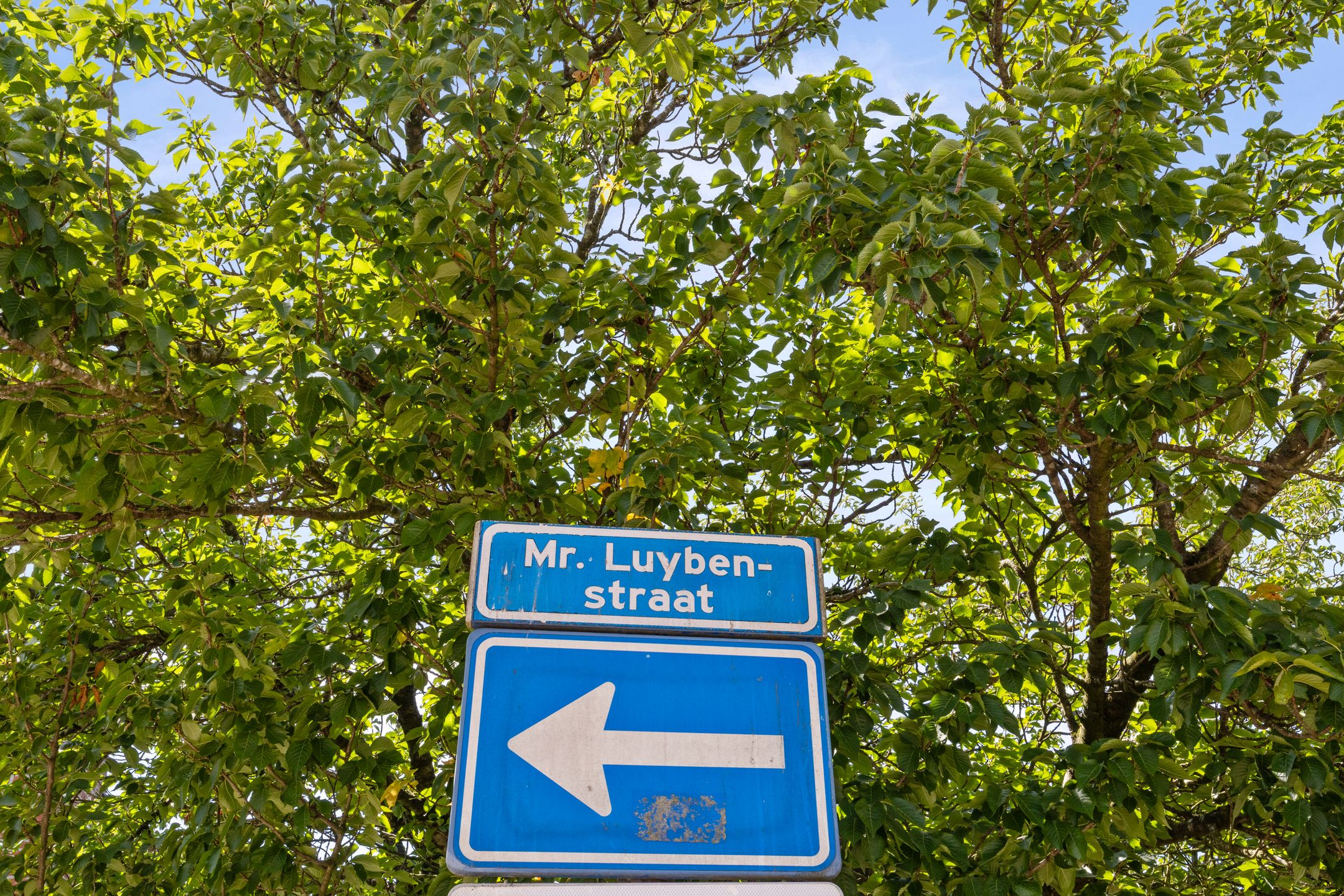 Foto 36 van Mr. Luybenstraat 27