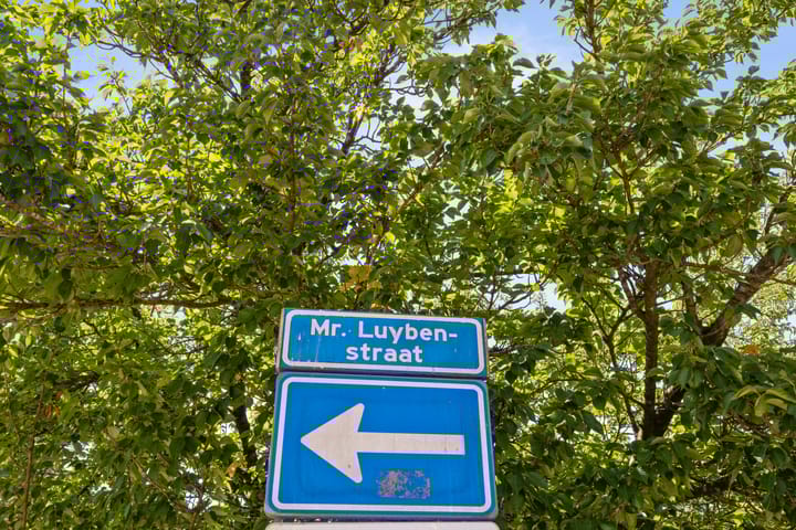 Foto 36 van Mr. Luybenstraat 27