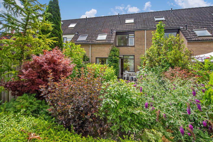 Foto 29 van Doornenburg 17