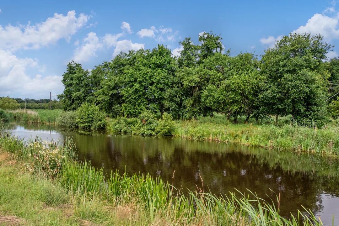 Foto 31 van Doornenburg 17