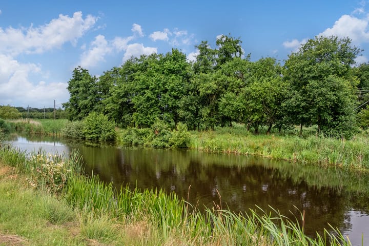 Foto 31 van Doornenburg 17