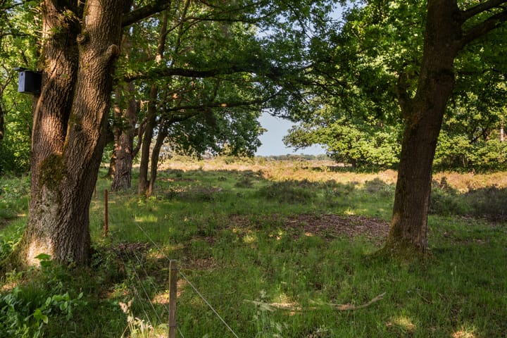 Foto 4 van Moraineweg 20-L211