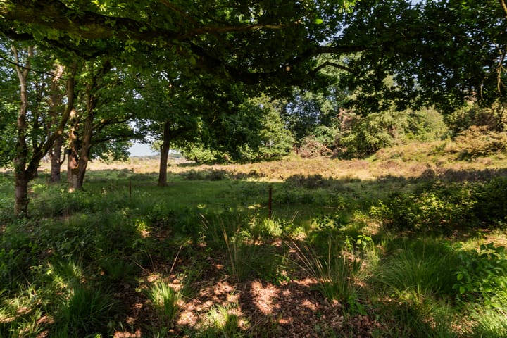 Foto 25 van Moraineweg 20-L211