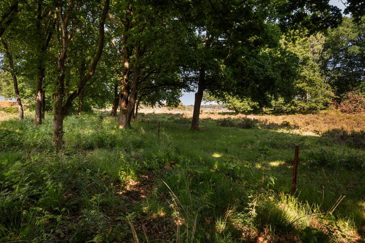 Foto 26 van Moraineweg 20-L211