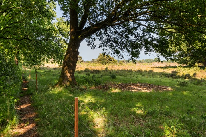 Foto 27 van Moraineweg 20-L211