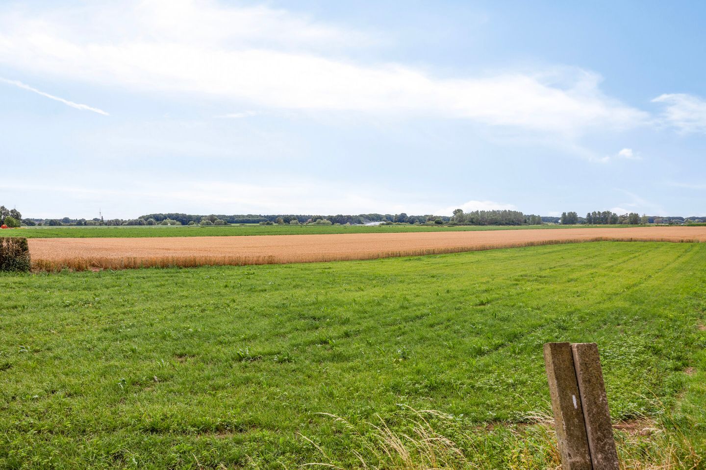 Foto 35 van Sleutelbloemdreef 14