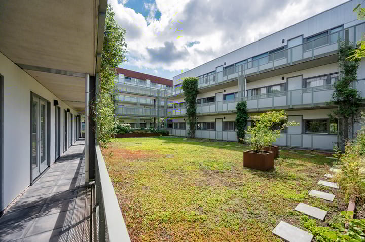 Foto 14 van El Grecostraat 209