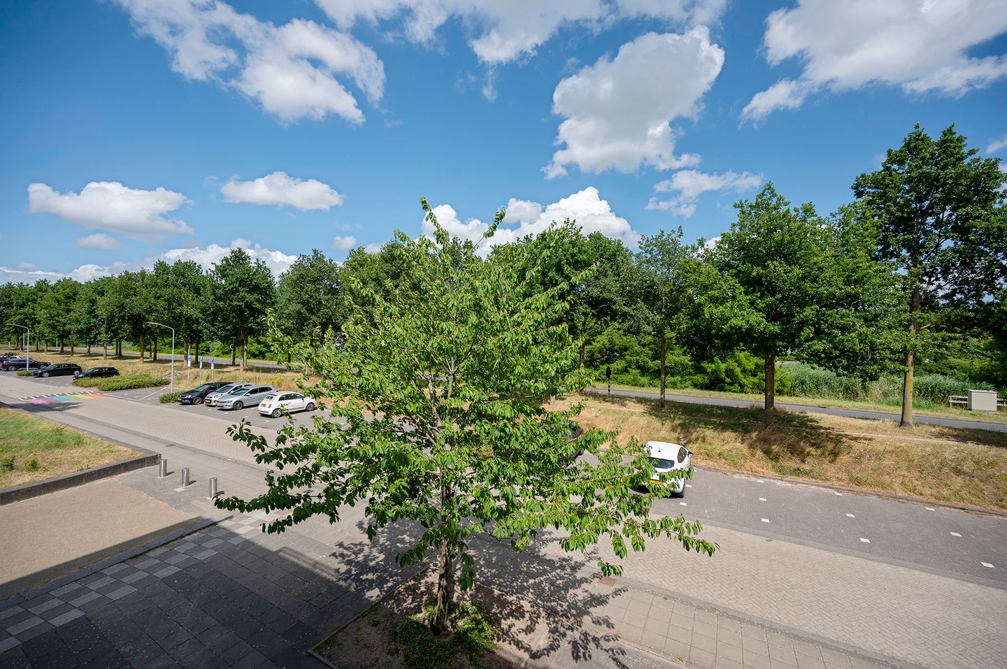 Foto 20 van El Grecostraat 209