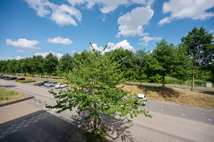 Foto 20 van El Grecostraat 209