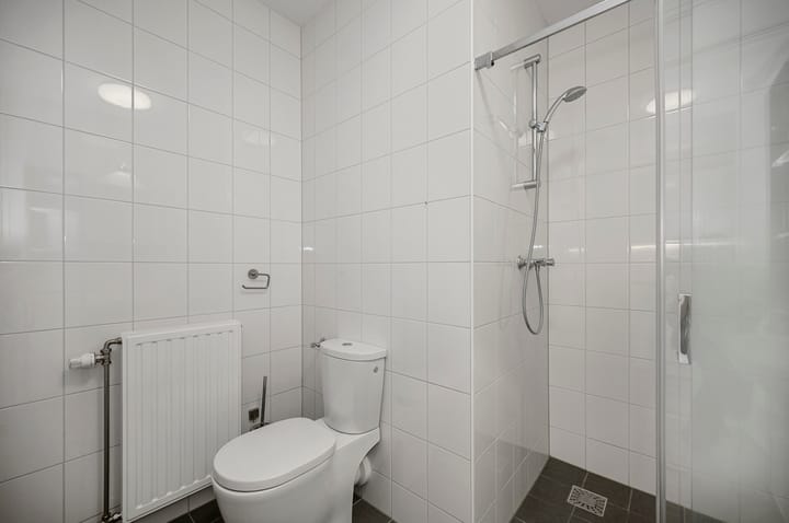 Foto 22 van El Grecostraat 209