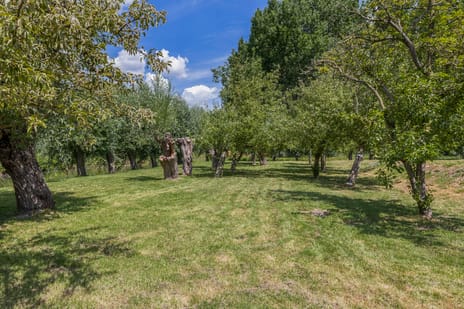 Schaardijk 482-K001 secondary image